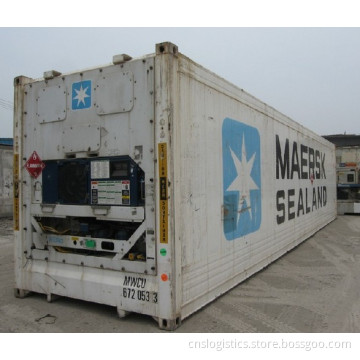 International Logistics From China/Reefer Cargo